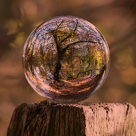 Introductory Course – The Wisdom Within